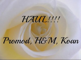 HAUL!!!! Promod, H&M e Koan
