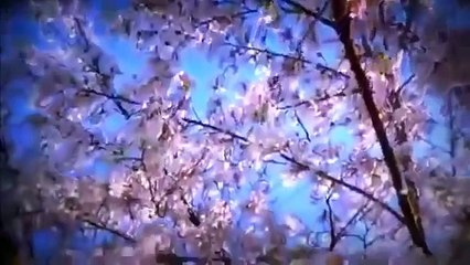 Ancient Japan Memoirs of a Secret Empire Full Documentary