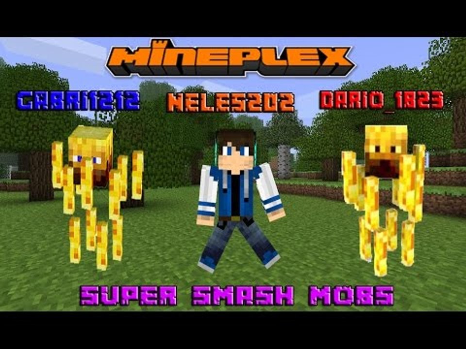 Super Smash Mobs w/ DARIO_1823 &neles202 || Min...