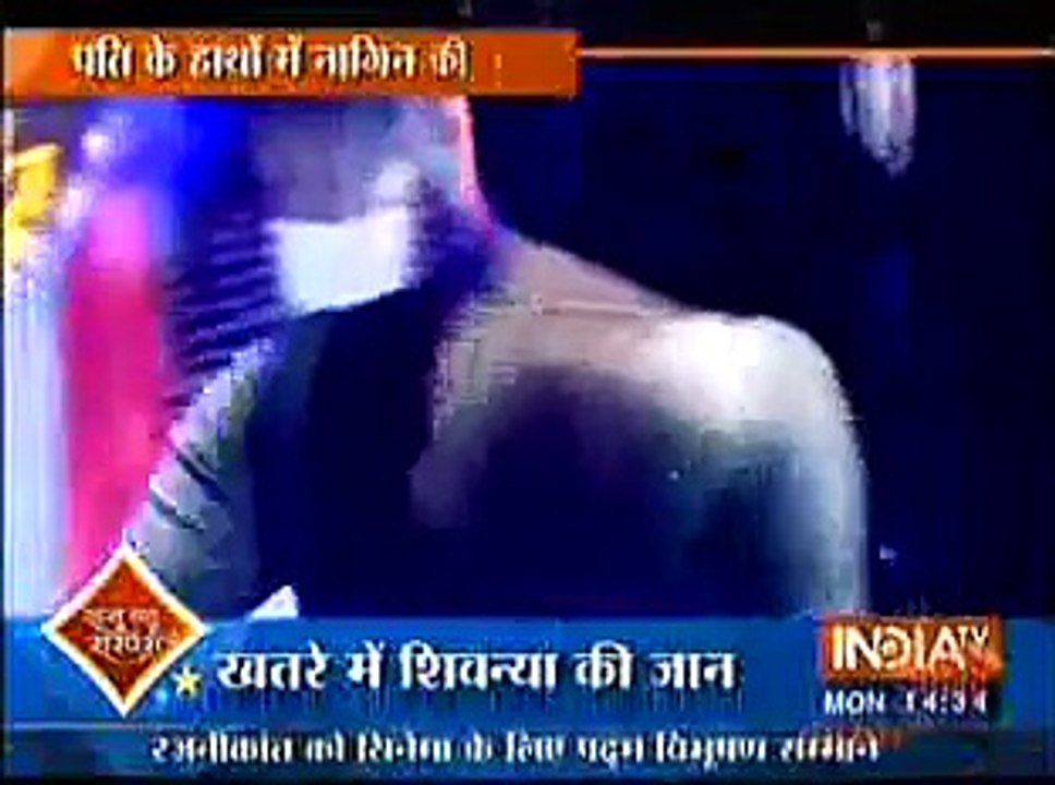 Naagin 25th January 2016 Naagin aur Nevle ko Ek doosre ke Karib dekh Kar Ritik ko Laga Shock