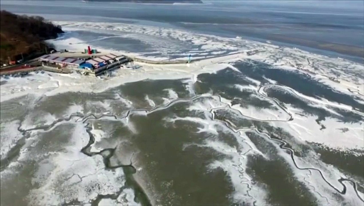 Froid et neige paralysent la Corée du Sud