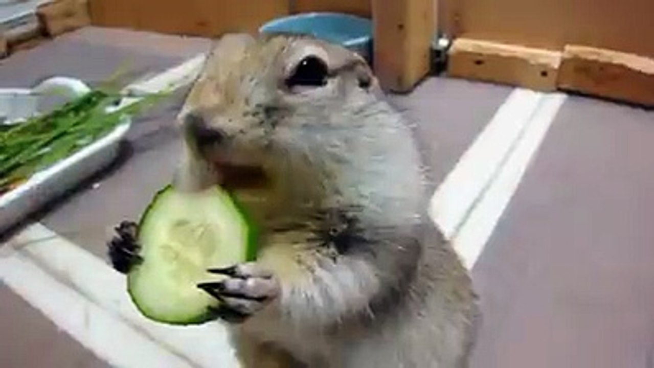 O Nasıl İştahlı Yemedir Öyle