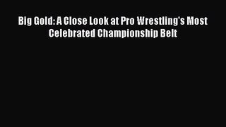 [PDF Download] Big Gold: A Close Look at Pro Wrestling's Most Celebrated Championship Belt