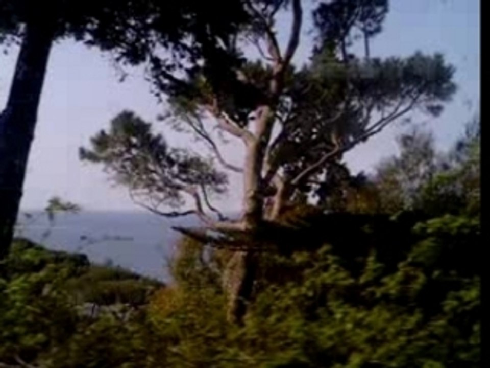 Ventimile - Nice
