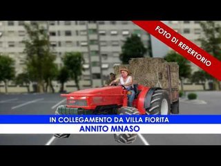 TG CT EMERGENZA NEVE INVERNO 2012