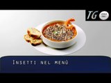 INSETTI NEL MENU - TG Canale Test