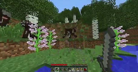Some Random Minecraft Moments