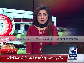 Veena Malik Bacha Khan University of Express solidarity visit