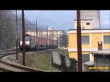 WinnerZug... alla nascita italiana - Winner freight trains