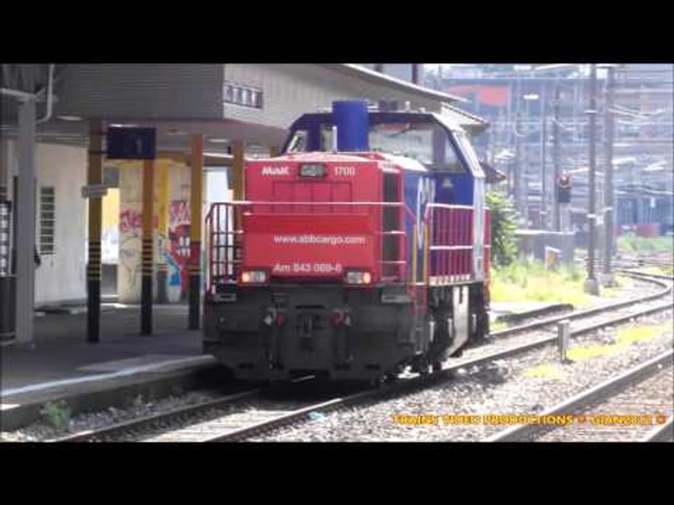 Freight & Cargo Trains Transit in Switzerland (2.2) - Treni Merci in Svizzera