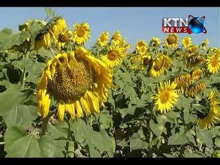 Special Assignment Ep#201 23rd January 2016