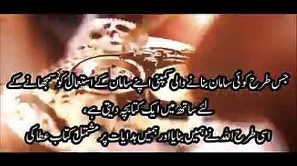 The Meaning of Life--See This video