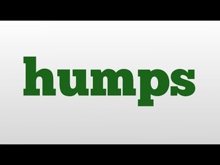 humps meaning and pronunciation