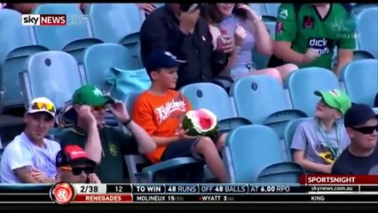 Coe Eats Crow - Sportsball #20