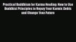 [PDF Download] Practical Buddhism for Karma Healing: How to Use Buddhist Principles to Repay