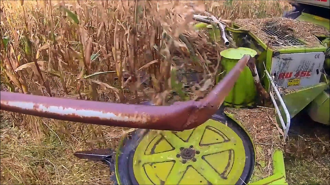 Irish Harvesting Maize