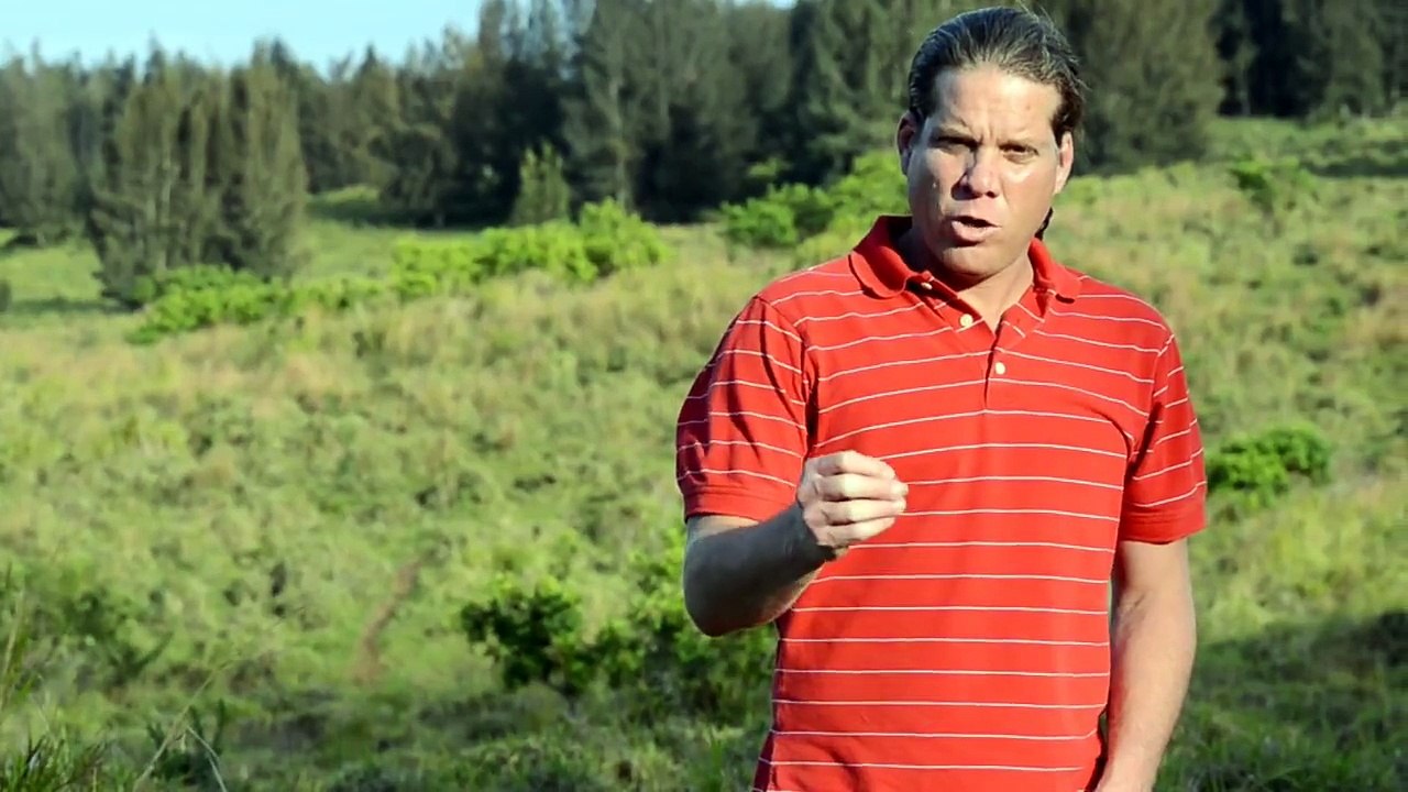 UFO Sightings Sea Monsters Enhanced Footage and Analyses! Amazing Footage you Decide?