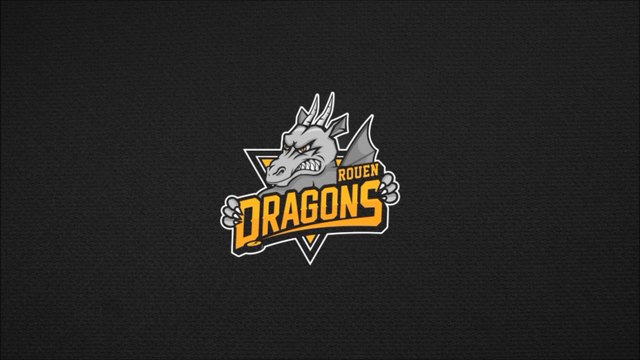 LM - 8ème j. (en retard) : Rouen - Epinal : 2-4 (Highlights)