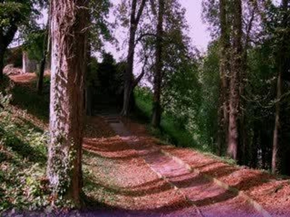 clip les wriggles _poupine & thierry