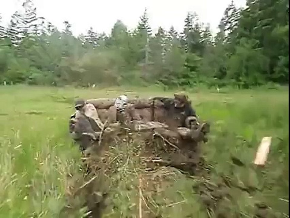 LOL - Nouveau sport: Le fauteuil sur gazon!