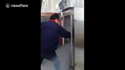 Frozen fish comes back to life after being defrosted