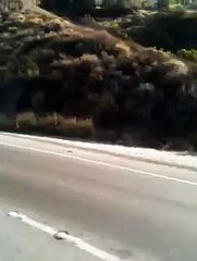 Corvette Showoff Fail Video