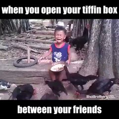 When you open your tiffin box between friends so funny