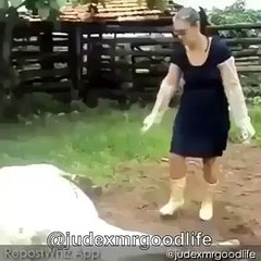 Great punch must watch funniest video