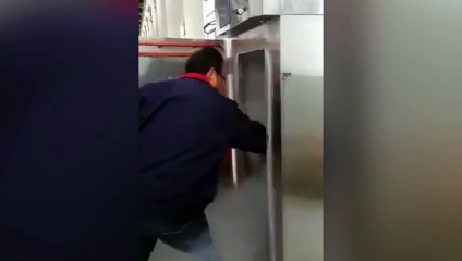 Saca un pez del congelador, lo pone en agua y... ¡resucita!