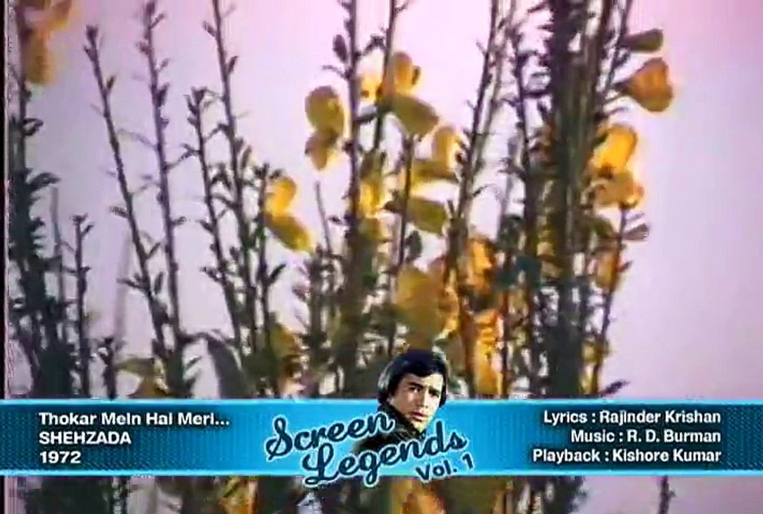 Shehzada - Thokar mein hai meri saara zamana