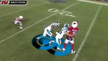 Evans on Panthers defense: 'They were all over the place'