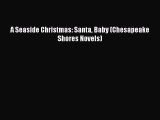 (PDF Download) A Seaside Christmas: Santa Baby (Chesapeake Shores Novels) PDF