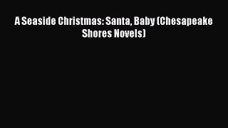 (PDF Download) A Seaside Christmas: Santa Baby (Chesapeake Shores Novels) PDF