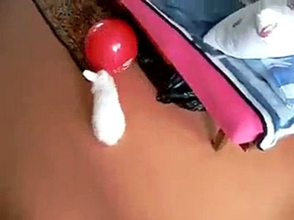 VID-20141216-WA0006