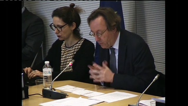 Intervention de Jean-Patrick GILLE devant la Commission des Affaires européennes - Assurance chômage européenne 2