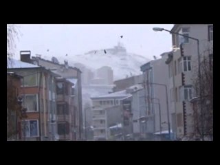 Karga İle Güvercinin Yemek Kavgası