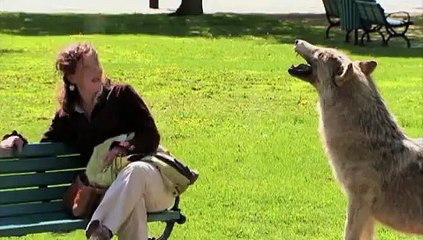 OP정보 【대전오피】 udaiso03．cＯm 『유흥다이소』 춘천건마 금정오피