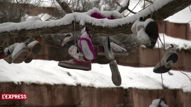 Etats-Unis : le mystère des arbres à chaussures
