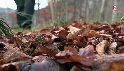 Feuilleton de la semaine : chasseurs d’images (1/5)