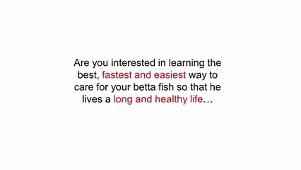 betta care made easy download