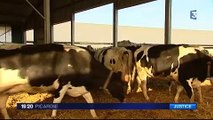 20160119-F3Pic-19-20-Drucat-Mille Vaches : annulation sur la forme des sanctions