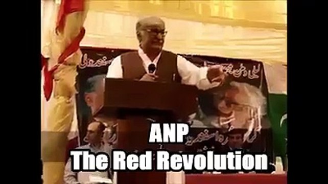 ANP Asfandyar Wali Khan Speech about Taliban