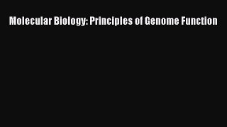 (PDF Download) Molecular Biology: Principles of Genome Function Download