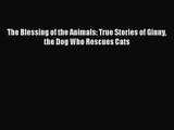 The Blessing of the Animals: True Stories of Ginny the Dog Who Rescues Cats  Free Books