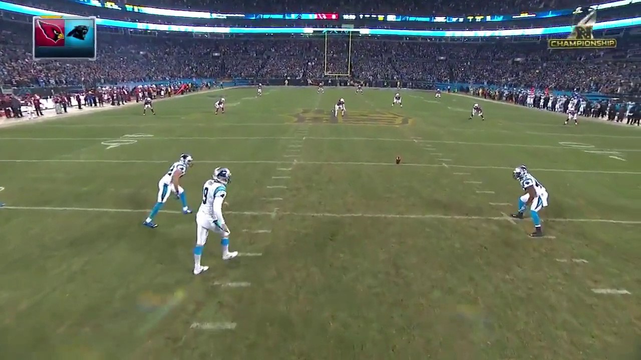 NFC Championship: Arizona vs. Carolina