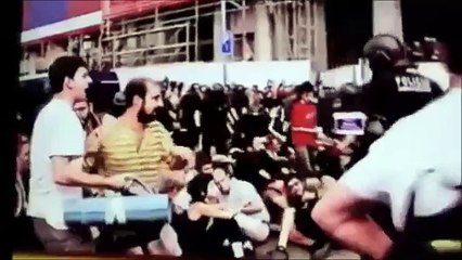 S.W./S.S./T.I. #preview