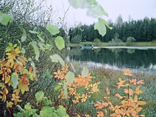 Pyos Barbos i neobychnyj kross BDRip 720p