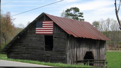 Rotten Peaches (The Thelonious T. Bear Chronicles) by Mitzi Szereto and Teddy Tedaloo