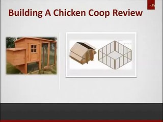 Building A Chicken Coop Review