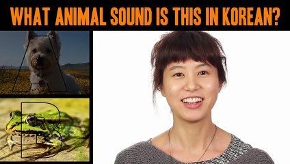 How Do Animals Sound In Other Languages؟